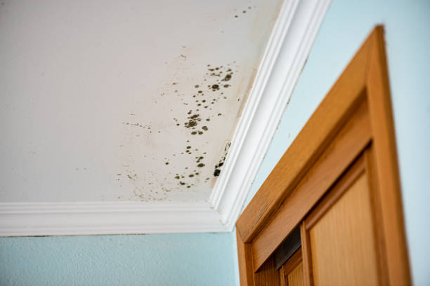 Water Damage Restoration in Wareham Center, MA