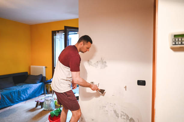 Best Residential Mold Removal  in Wareham Center, MA