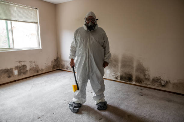 Best Office Mold Removal Services  in Wareham Center, MA